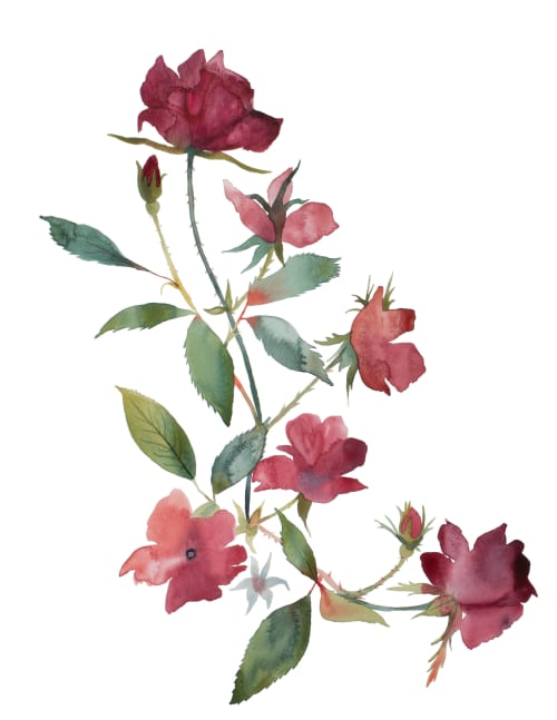 Rose Study No. 86 : Original Watercolor Painting | Paintings by Elizabeth Beckerlily bouquet. Item composed of paper in boho or minimalism style
