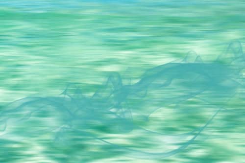 The smell of the ocean | Oil And Acrylic Painting in Paintings by Irena Orlov. Item composed of canvas and synthetic