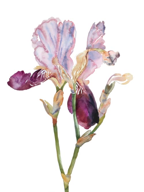 Iris No. 198 : Original Watercolor Painting | Paintings by Elizabeth Beckerlily bouquet. Item made of paper compatible with boho and minimalism style