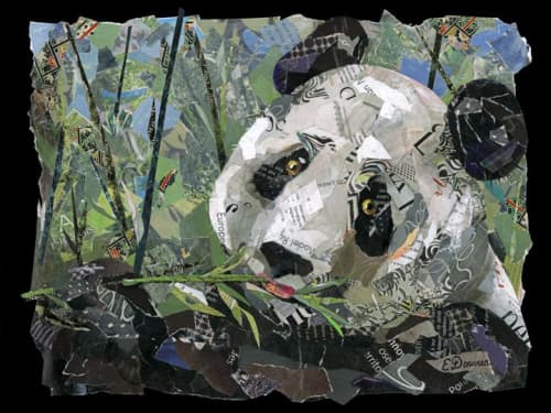 Panda | Paintings by Eileen Downes | Boston Children's Hospital in Boston