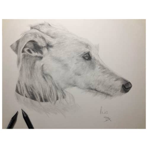 Pet Pencil Portrait | Drawings by Lottie Anderson Studio | London in London. Item composed of paper