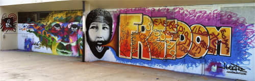 Freedom | Street Murals by Juan Diaz | Fleischman Park Skate Park in Naples. Item made of synthetic