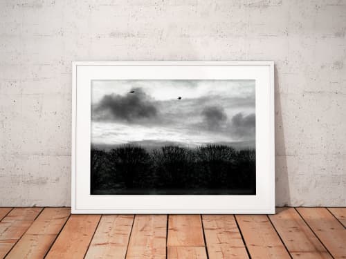 Winter morning in Paris | Limited Edition Print | Photography by Tal Paz-Fridman | Limited Edition Photography. Item made of paper works with contemporary & country & farmhouse style