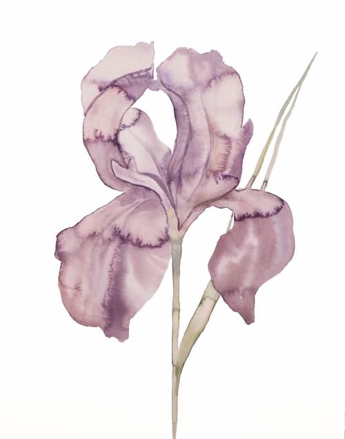 Iris No. 172 : Original Watercolor Painting | Paintings by Elizabeth Beckerlily bouquet. Item composed of paper in minimalism or contemporary style