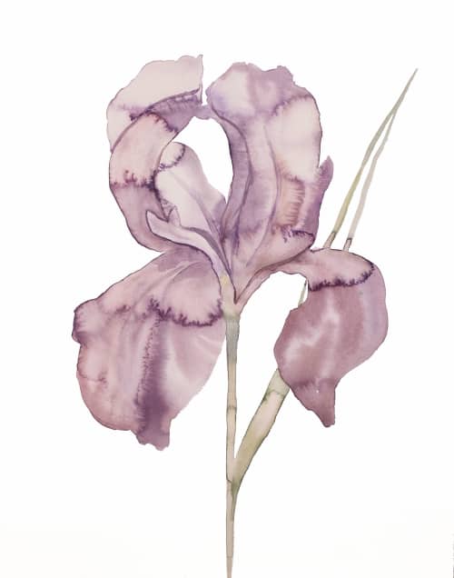 Iris No. 172 : Original Watercolor Painting | Paintings by Elizabeth Becker. Item composed of paper in minimalism or contemporary style