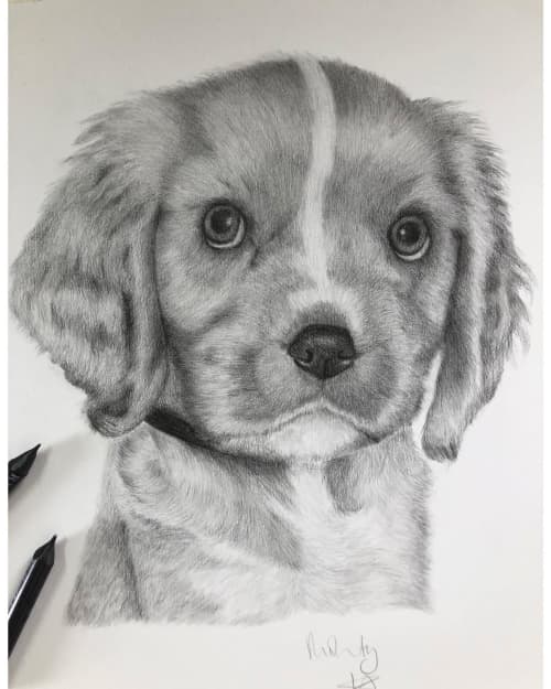 Pet Drawing | Drawings by Lottie Anderson Studio. Item composed of paper