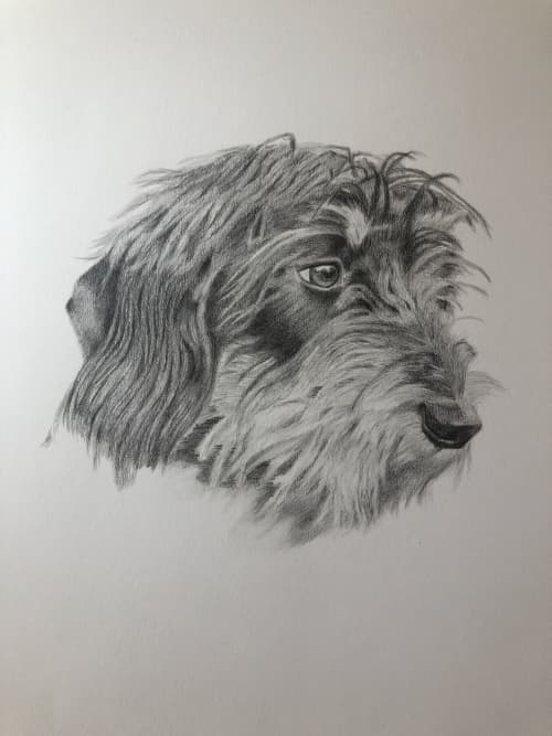Pet Pencil Portrait | Drawings by Lottie Anderson Studio | London in London. Item made of paper