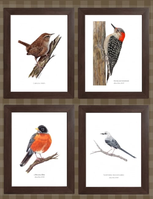Set of 4 framed bird prints | Drawings by Stacie Dale. Item made of paper compatible with rustic and traditional style