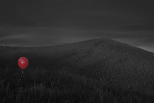 Existing Along the Walk – Fine Art Photography | Photography by ANDRES GALAN. Item made of canvas with aluminum works with contemporary & modern style