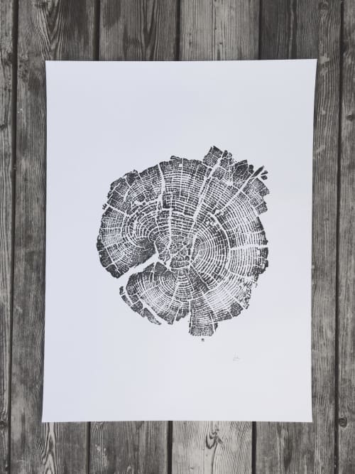 Yellowstone National Park tree ring print 18x24 inch paper | Prints by Erik Linton. Item made of paper