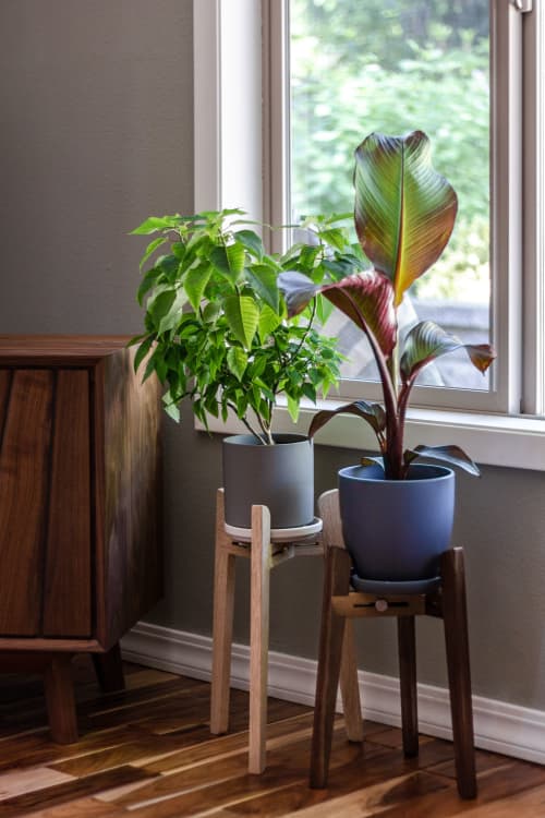 Tangent Plant Stand | Furniture by Leah K.S. Amick