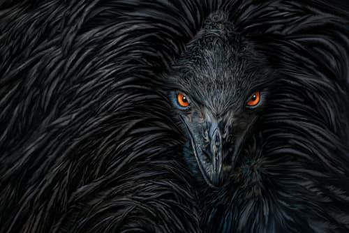 Penetrating | Photography by Judy Reinford. Item made of paper