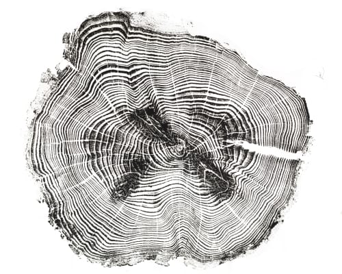 Old Cedar | Prints by Erik Linton. Item made of paper