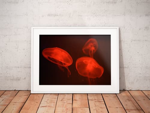 At the aquarium #4 | Limited Edition Print | Photography by Tal Paz-Fridman | Limited Edition Photography. Item composed of paper compatible with boho and contemporary style