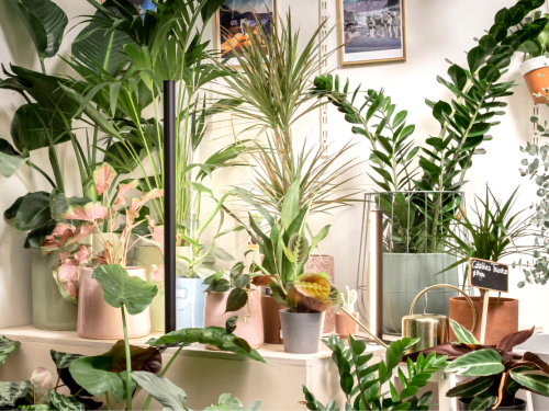 PlantSpectrum | Lighting by Mother. Item composed of aluminum