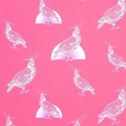Glow Bows | Pink Lace On Hottie Pink | Wallpaper in Wall Treatments by Weirdoh Birds. Item composed of synthetic
