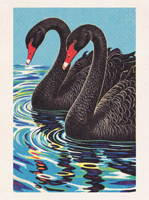 Black Swans | Prints in Paintings by Paul Manwaring Fine Art Prints. Item composed of paper in traditional style