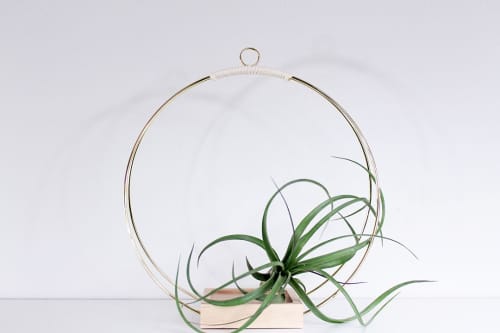 BRAID & WOOD Plant Hanger (Large) & (Medium) | Plants & Landscape by Braid & Wood Design Studio. Item made of maple wood with brass