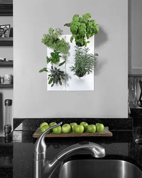 Modern Herb Wall - Vertical Garden - Node Wall Planter | Living Wall in Plants & Landscape by Pandemic Design Studio | Philadelphia in Philadelphia. Item made of ceramic compatible with mid century modern and contemporary style