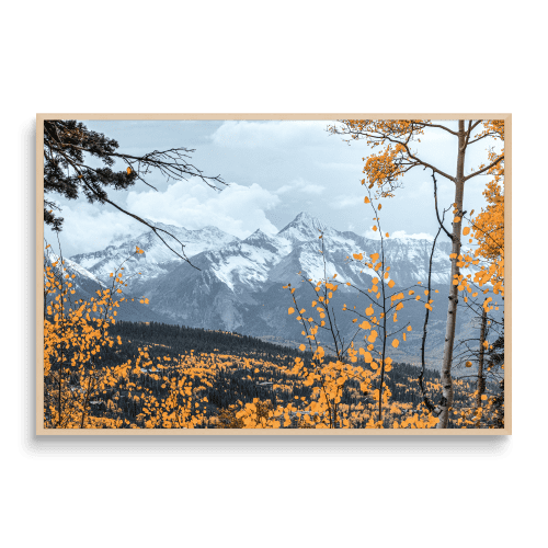 A WINDOW TO WINTER | Telluride, CO | Fine Art Print | Photography by Jess Ansik. Item composed of paper in contemporary or country & farmhouse style