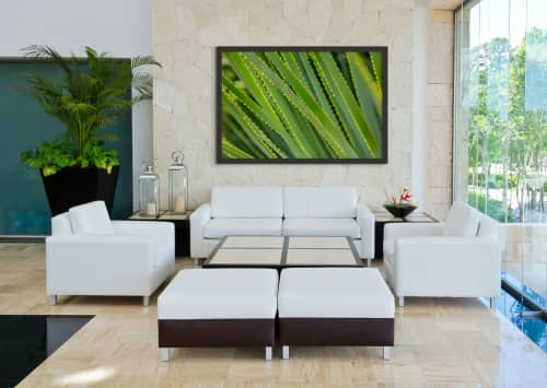 cactus garden Digital-only offering exclusively for Trade | Photography by Caroyl La Barge›. Item made of canvas & paper compatible with contemporary and mediterranean style