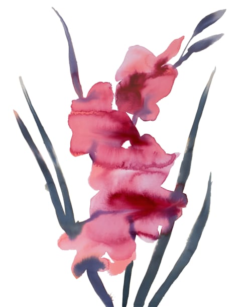 Gladiolus No. 3 : Original Watercolor Painting | Paintings by Elizabeth Becker. Item made of paper works with boho & minimalism style