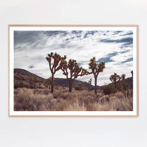Trinity, Joshua Tree Photograph | Photography by Daylight Dreams Editions. Item made of paper works with boho & contemporary style
