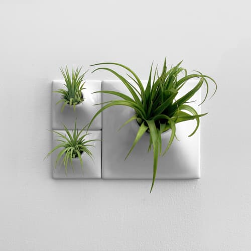 Node Ceramic Wall Planter Set of 3 - Living Wall Art | Plant Hanger in Plants & Landscape by Pandemic Design Studio. Item made of stoneware works with modern style