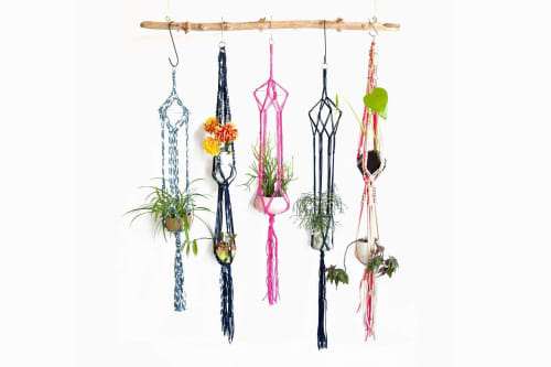 Jungle Love Single Plant Hanger | Plants & Landscape by Modern Macramé by Emily Katz | Private Residence - Portland OR in Portland. Item composed of wool and fiber