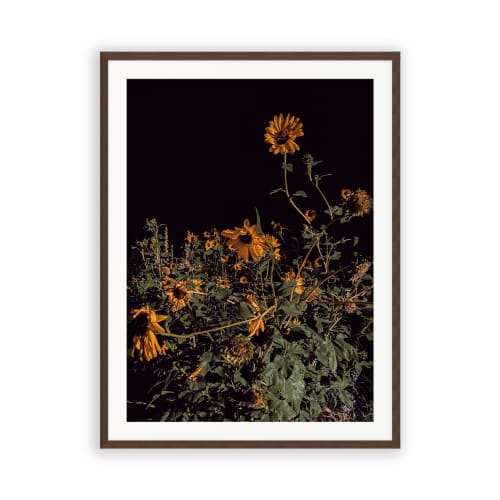 THE SUSANS (9"x12" - 36"x48") | Fine Art Print | Photography by Jess Ansik. Item made of paper works with contemporary & country & farmhouse style