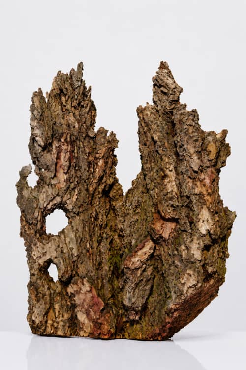 Arboreal Coral | Decorative Objects by Raulferc. Item made of wood works with contemporary & rustic style