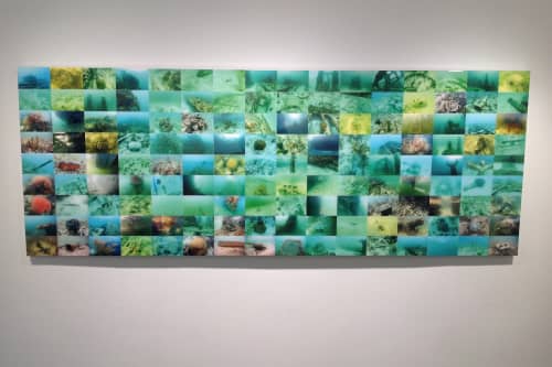 Underwater Photography | Photography by Gustavo Oviedo