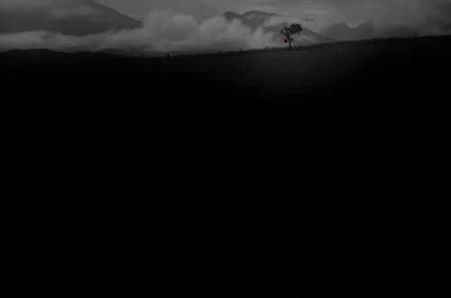 Resilience – Fine Art Photography | Photography by ANDRES GALAN. Item made of canvas with aluminum works with contemporary & modern style