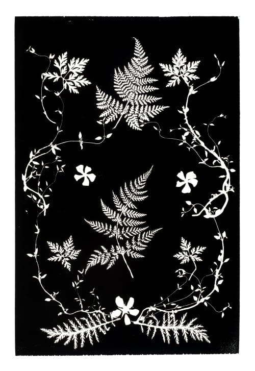 Botanical Collage I | Prints by Erik Linton. Item composed of paper