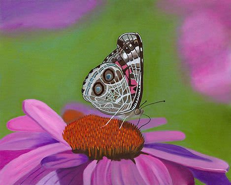 Mr. Majestic Butterfly - Giclee Prints | Paintings by Michelle Keib Art. Item composed of paper