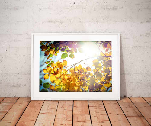 Winter is finally here | Limited Edition Print | Photography by Tal Paz-Fridman | Limited Edition Photography. Item composed of paper compatible with contemporary and country & farmhouse style