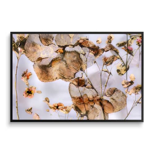 BLUSH (18"x12" — 72"x48") | Surreal Gardens | Wall Art | Digital Art in Art & Wall Decor by Jess Ansik. Item composed of aluminum & paper compatible with boho and contemporary style