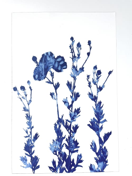 Delft Tree Poppies III (18 x 12" Cyanotype Painting) | Mixed Media in Paintings by Christine So