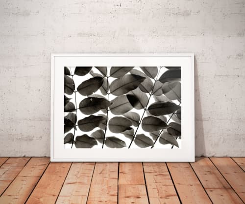 Branches and Leaves I | Limited Edition Print | Photography by Tal Paz-Fridman | Limited Edition Photography. Item made of paper compatible with country & farmhouse and coastal style