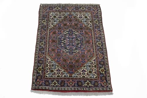 Floral Bittersweet Red 3X4 Bidjar Persian Rug | Area Rug in Rugs by Magic Rugs. Item composed of wool in country & farmhouse or traditional style