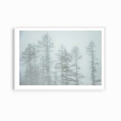 Winter trees misty landscape photograph "Exposed Trees" | Photography by PappasBland. Item composed of paper in minimalism or contemporary style
