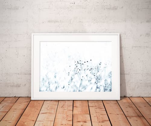 Syrian thistle | Limited Edition Print | Photography by Tal Paz-Fridman | Limited Edition Photography. Item composed of paper in minimalism or contemporary style
