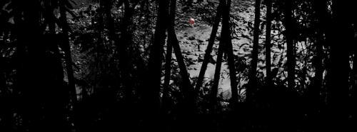 Beneath the Shadows – Fine Art Photography | Photography by ANDRES GALAN. Item composed of canvas and aluminum in contemporary or modern style