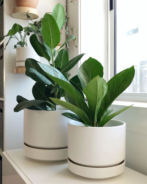 Round Two by Revival ceramics | Planter in Vases & Vessels by LBE Design. Item composed of ceramic