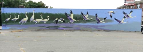 "Crane Flight" | Street Murals by Amy Bartlett Wright