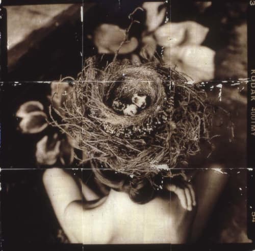 DEEP BREATH | Photography by Pam Moxley Mixed Media