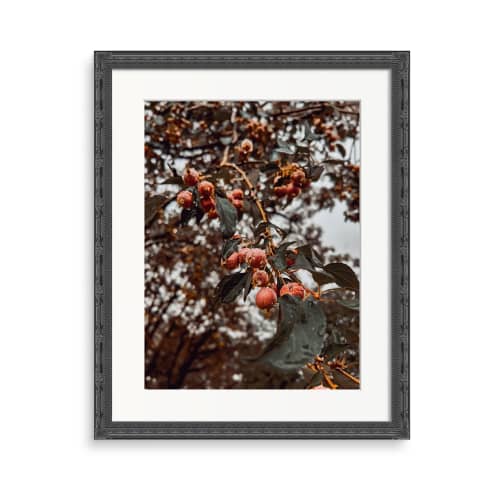 FORBIDDEN FRUIT (9"x12" - 36"x48") | Fine Art Print | Photography by Jess Ansik. Item made of paper compatible with country & farmhouse and rustic style