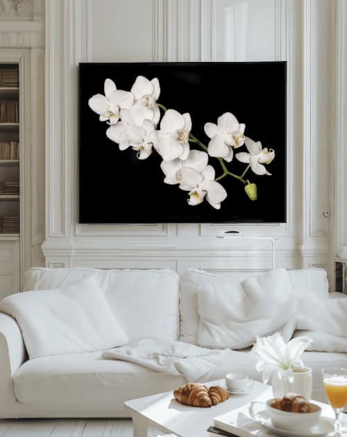Orchid Botanical Art Print | Photography by Tal Shpantzer | Talfoto Studio