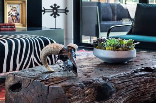 Ram Skull | Ornament in Decorative Objects by Gypsy Mountain Skulls | Montage Deer Valley in Park City. Item in country & farmhouse or art deco style