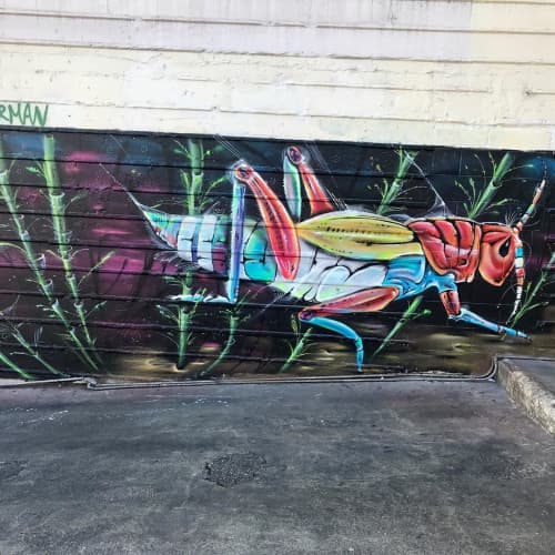 Rainbow Grasshopper Mural | Street Murals by Max Ehrman (Eon75). Item made of synthetic